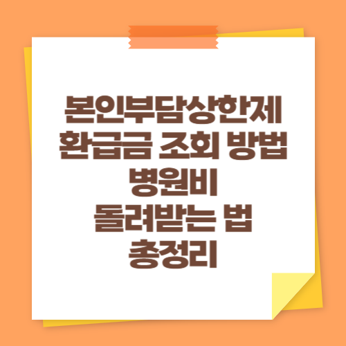본인부담상한제 환급금 조회 방법 (병원비 돌려받는 법 총정리)