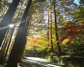 장태산 자연휴양림 예약19