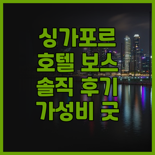 싱가포르 호텔 보스 후기 가성비 최고