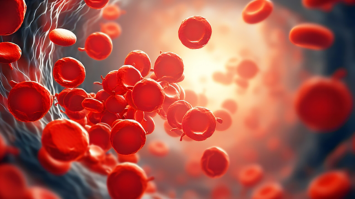 혈관-내부-모습