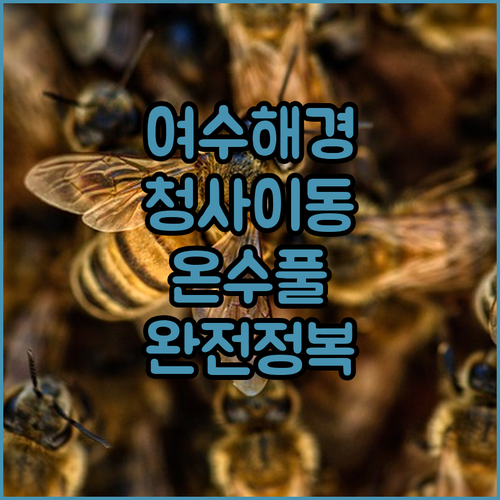 여수해양경찰서 청사 이동 경로 확인하..