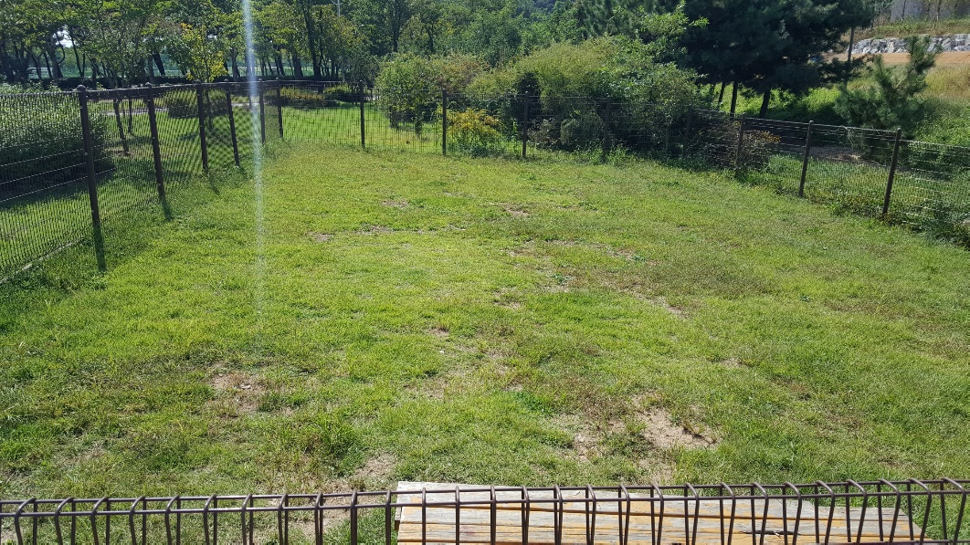 옥구공원 반려견 놀이터