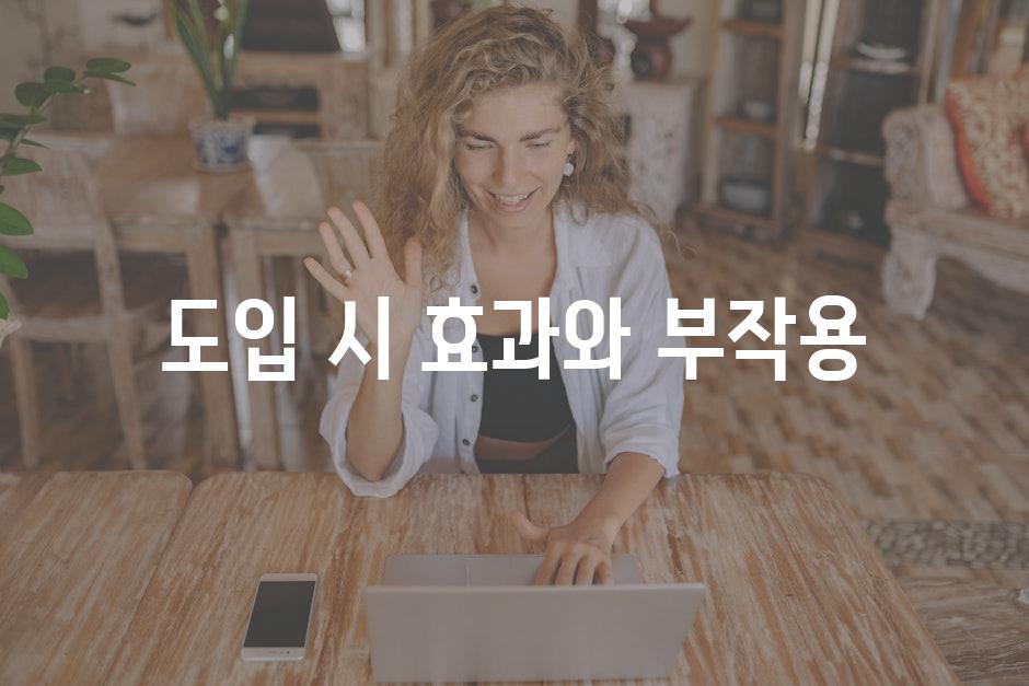 도입 시 효과와 부작용