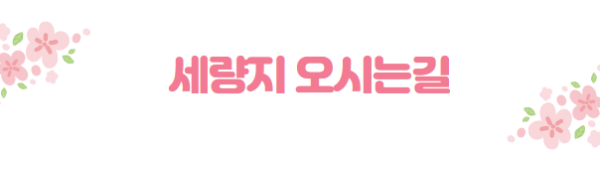 봄꽃 여행지