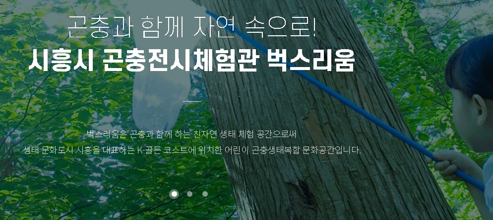 주말 아이랑 가기 좋은 곳 추천 - 벅스리움