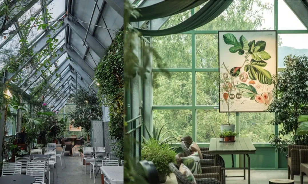 과천 마이알레 카페 맛집 데이트 코스 강아지 동반 체험 프로그램 주차