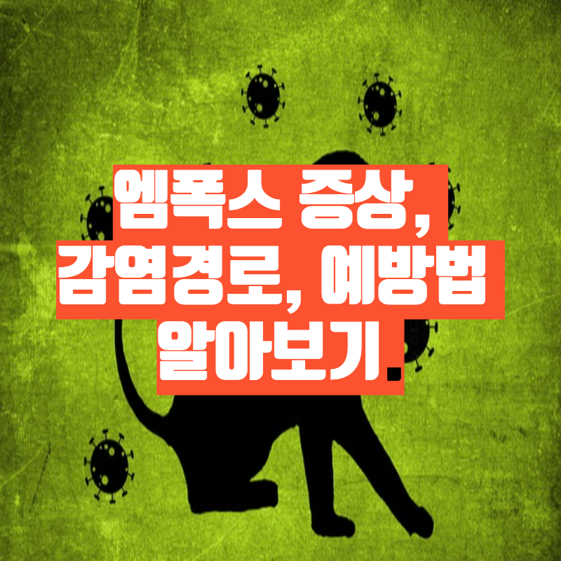 엠폭스-증상-감염경로-예방법-알아보기