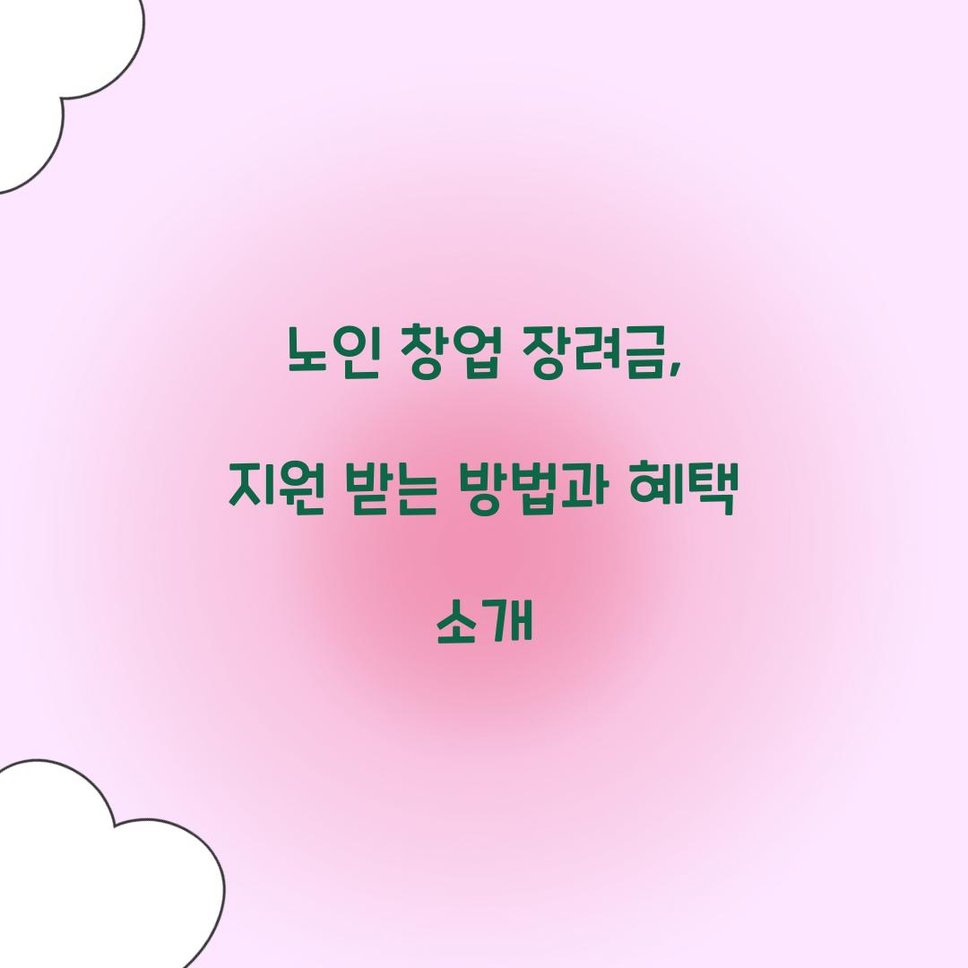 노인 창업 장려금