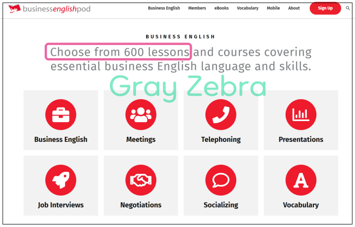 비지니스 영어 커리큘럼들