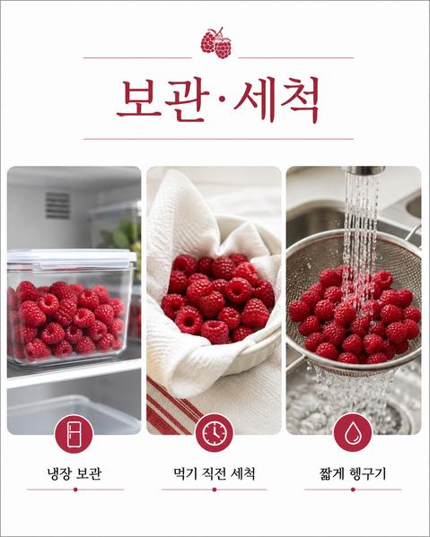 산딸기 효능