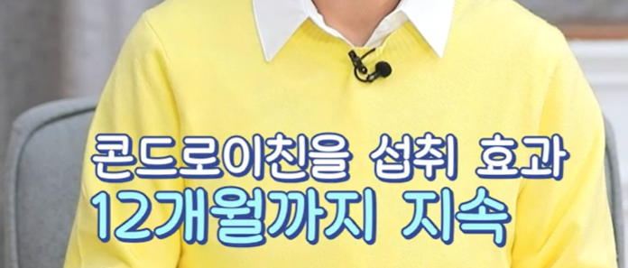 콘드로이친 효능