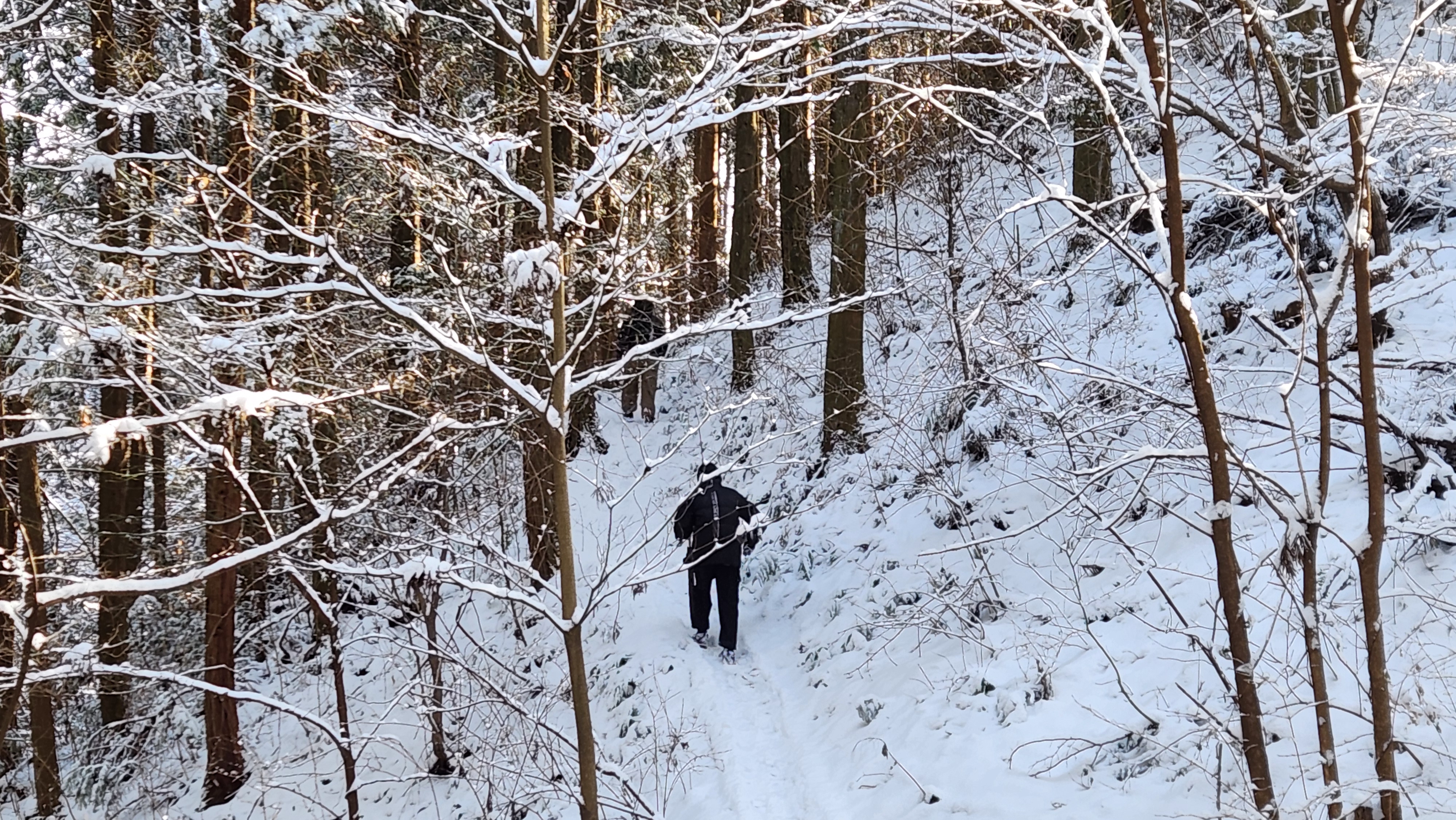 깔딱고개를 오르는 와이프와 막내의 뒷 모습