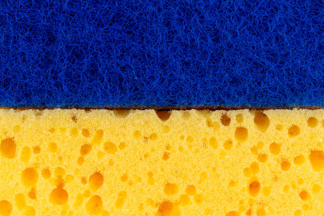 sponge
