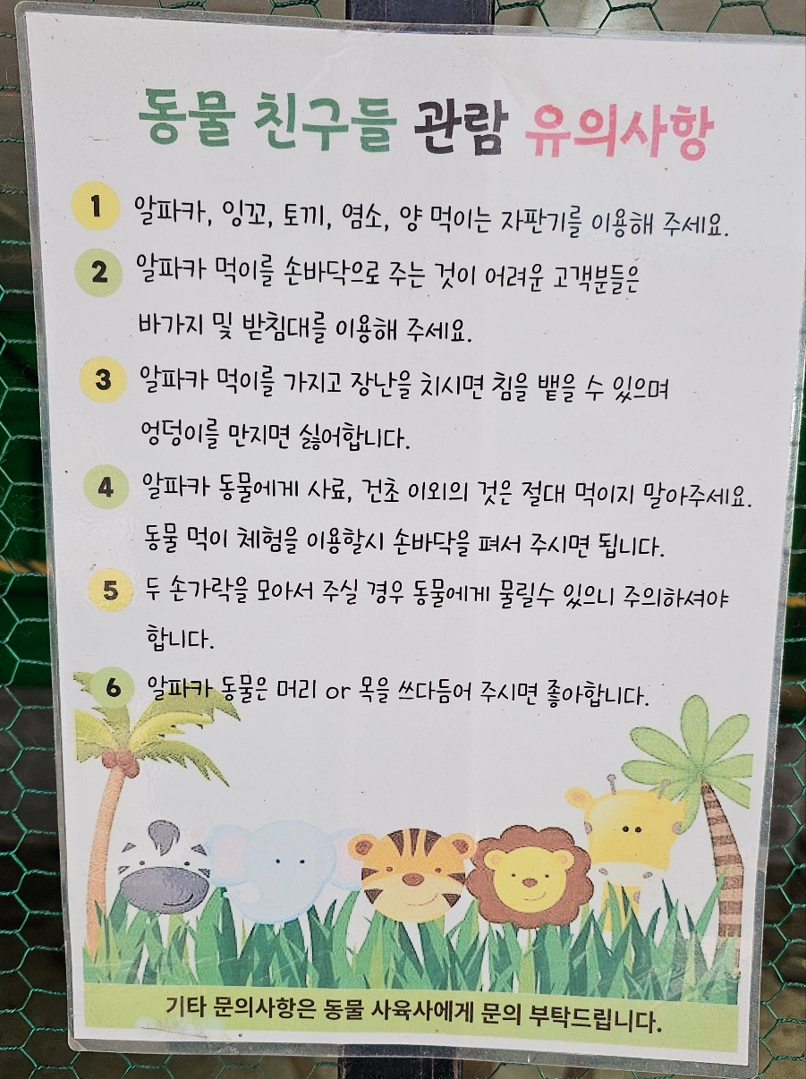 [24.11월] 아이와 평창 #1 - 모나 용평리조트 애니포레🏔️