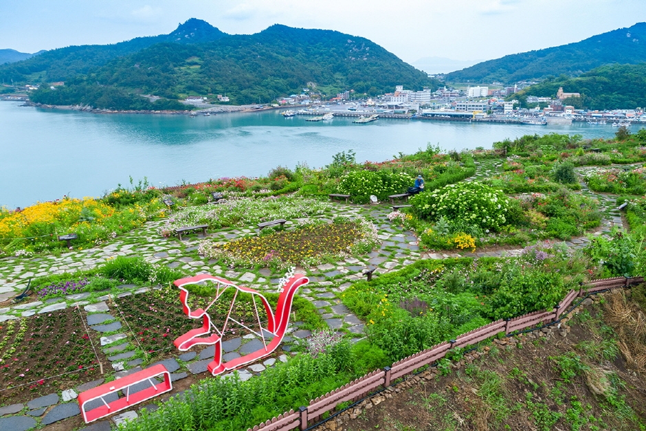 고흥 쑥섬 수국