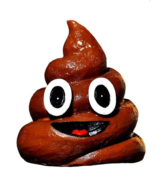 변비에 좋은 음식