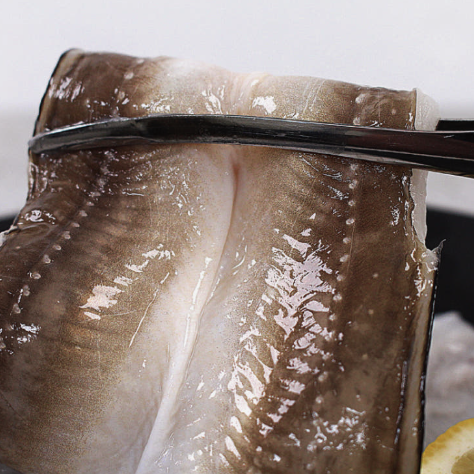 6시내고향 다연호 통영 붕장어