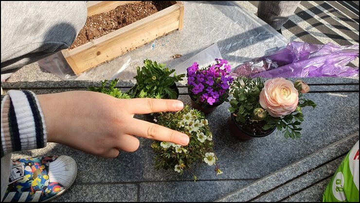 이번에-구입한-꽃들