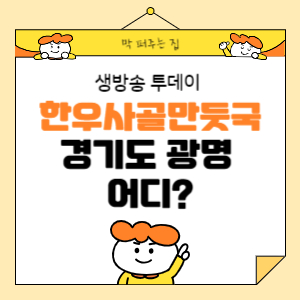 힌우사골 손만둣국