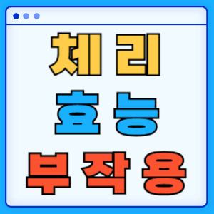 체리 효능