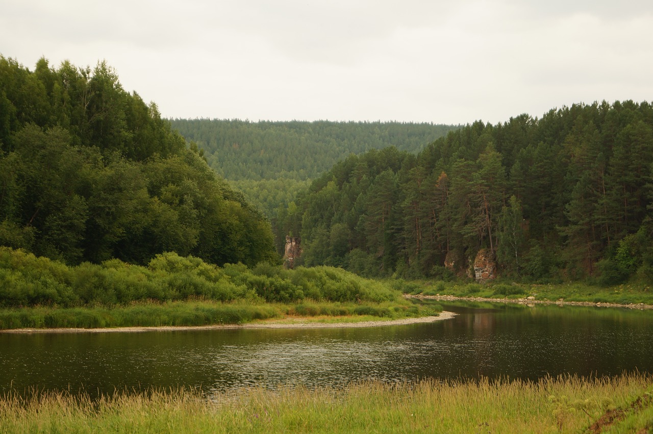 평온한-일상의-자연생활