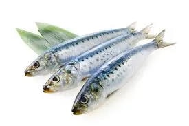 관절염-초기증상-퇴행성-및-류마티스-관절염에-좋은-음식과-일상-치료법!-무릎-손가락-관절-통증-해결법