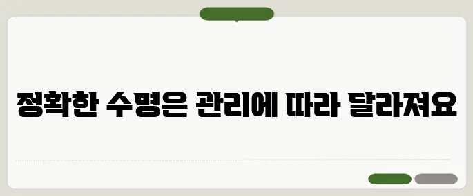 임플란트 수명은 얼마나? 관리에 따라 달라집니다