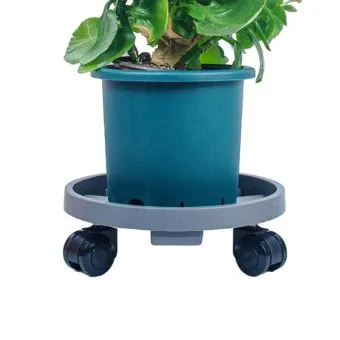 실내화분 이동 스트레스 줄이기 화분자리 변경 단계적적응 빛조절 요령_9