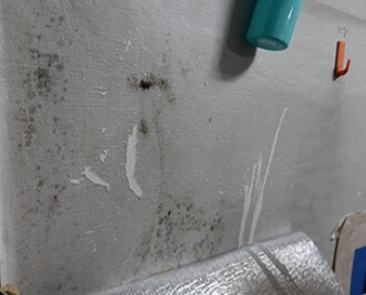 곰팡이와 피부병2