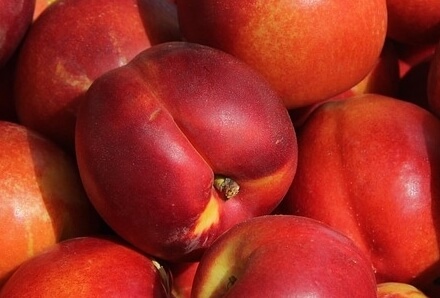 천도복숭아효능