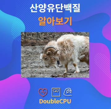 산양유단백질 알아보기