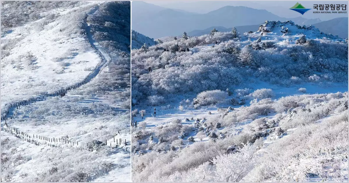 덕유산 설경