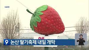 논산딸기 축제 기본일정과 프로그램 및 초대가수 소개(변진섭 이상은 박지현 김의영 인순이 등 출연)