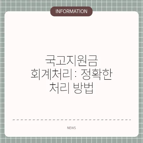 국고지원금 회계처리: 정확한 처리 방법