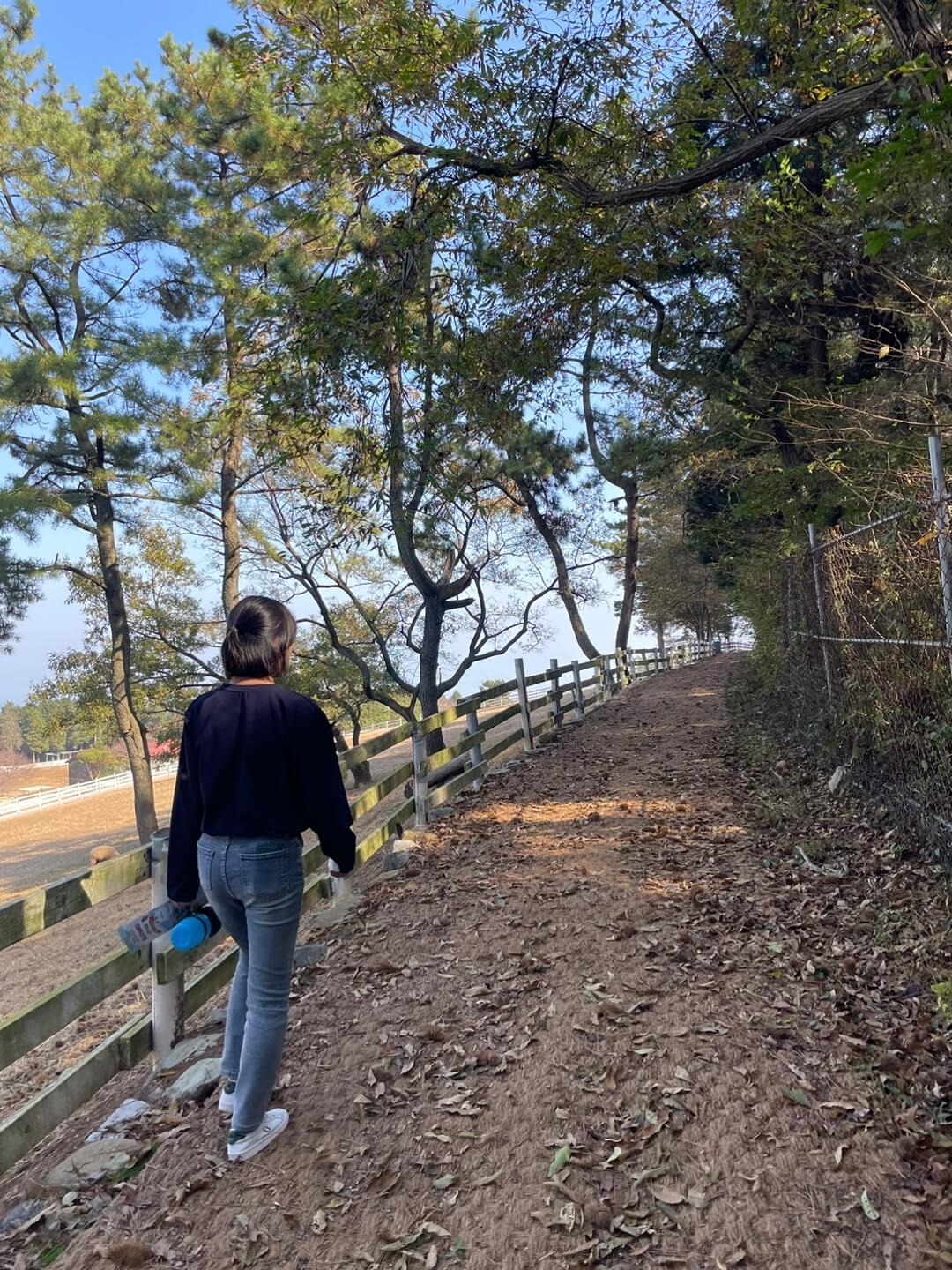 남해 상상양떼목장