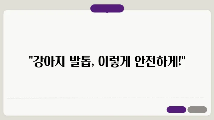 강아지 발톱 자르기