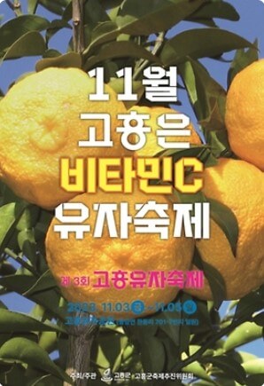 11월 전국 축제 일정표