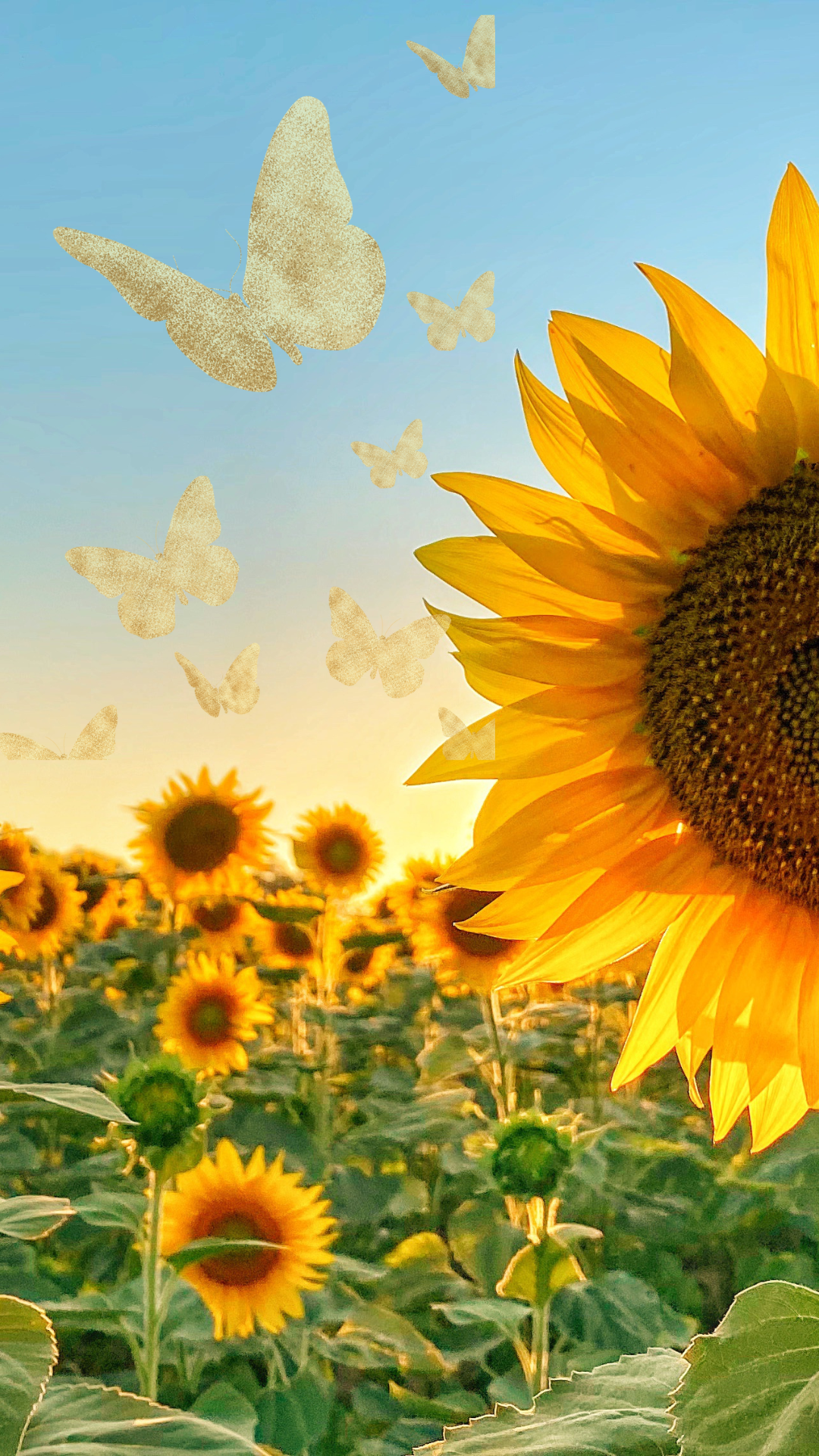 돈들어오는 그림 배경화면 사진