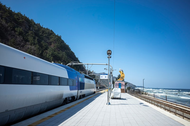 정동진역 누리로 무궁화호