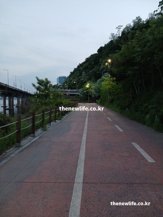 고혈압에 좋은 음식과 운동 걷기