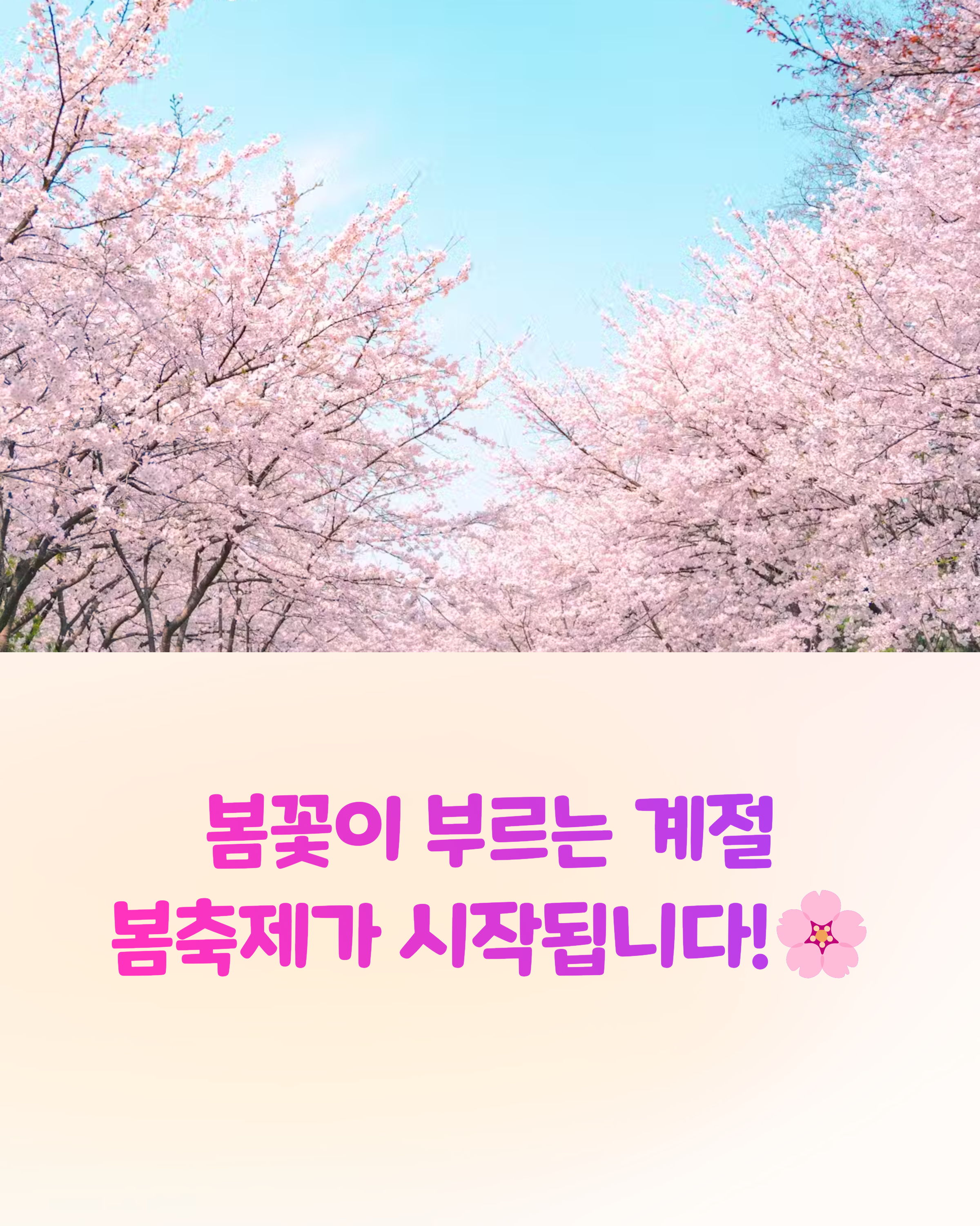 춘분에 가기 딱 좋은 봄꽃축제! 어디가 BEST?