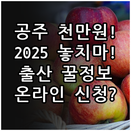 2025 공주시 출산장려금 1000만..