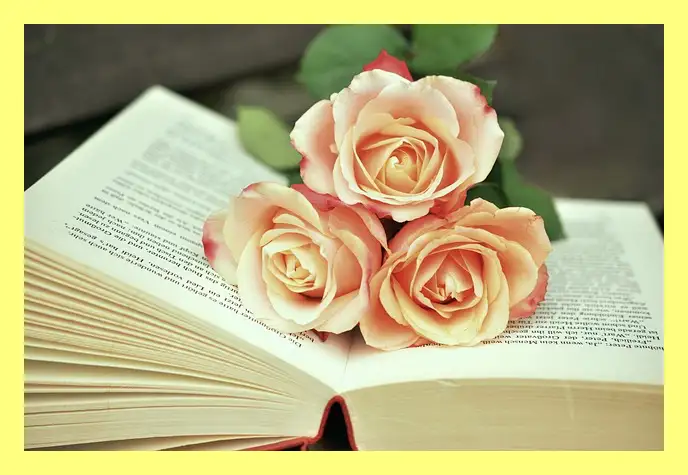 한강 소년이 온다