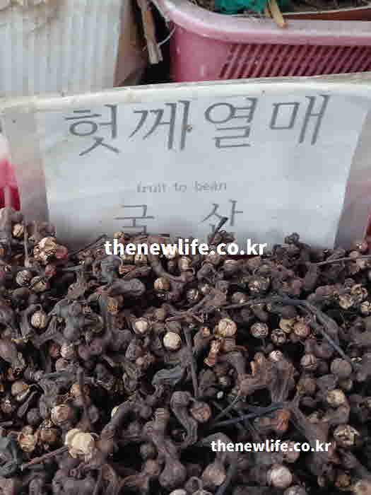 헛개나무열매 효능 고기 요리