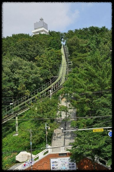 2025 진해 벚꽃 명소 BEST 7 - 인생샷 각도까지 알려드려요.