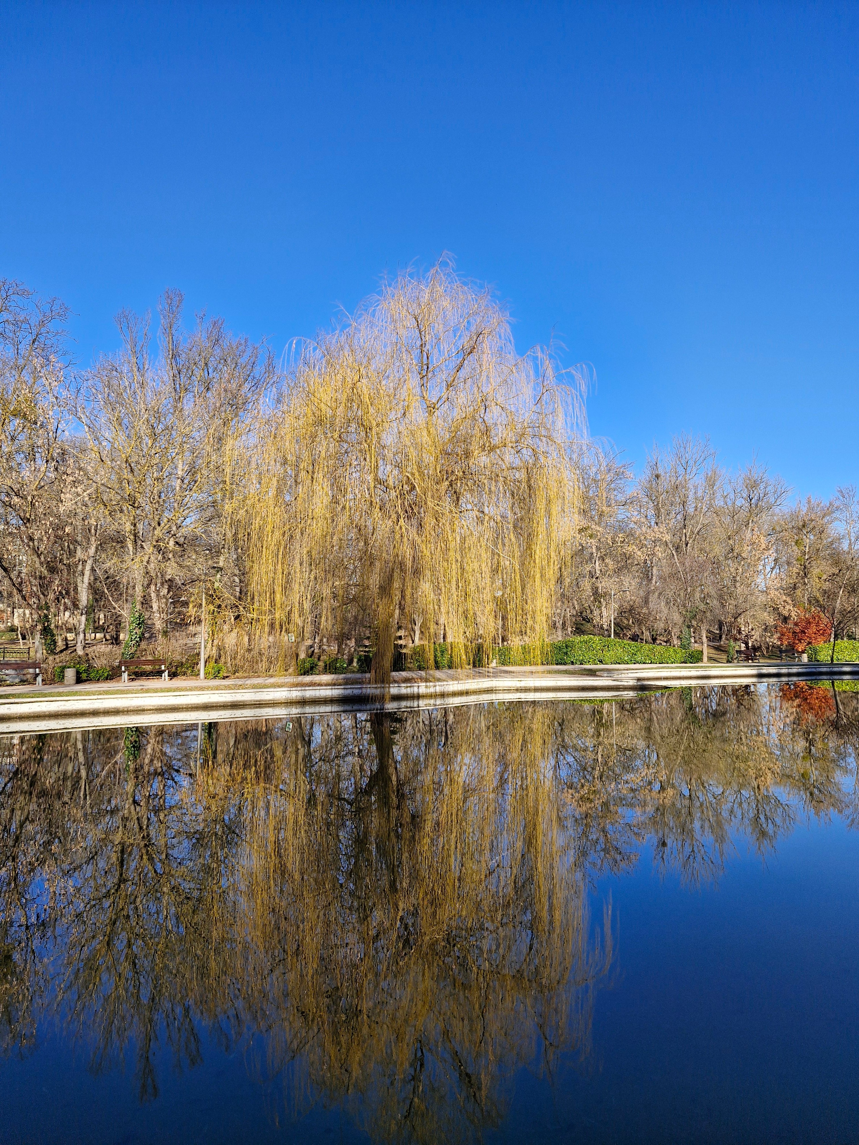 S23 FE 사진 샘플