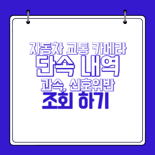 자동차-교통-카메라-단속-내역-조회