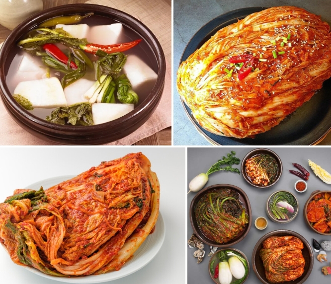 김치 관련사진