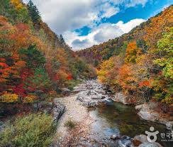 오대산 등산코스 추천