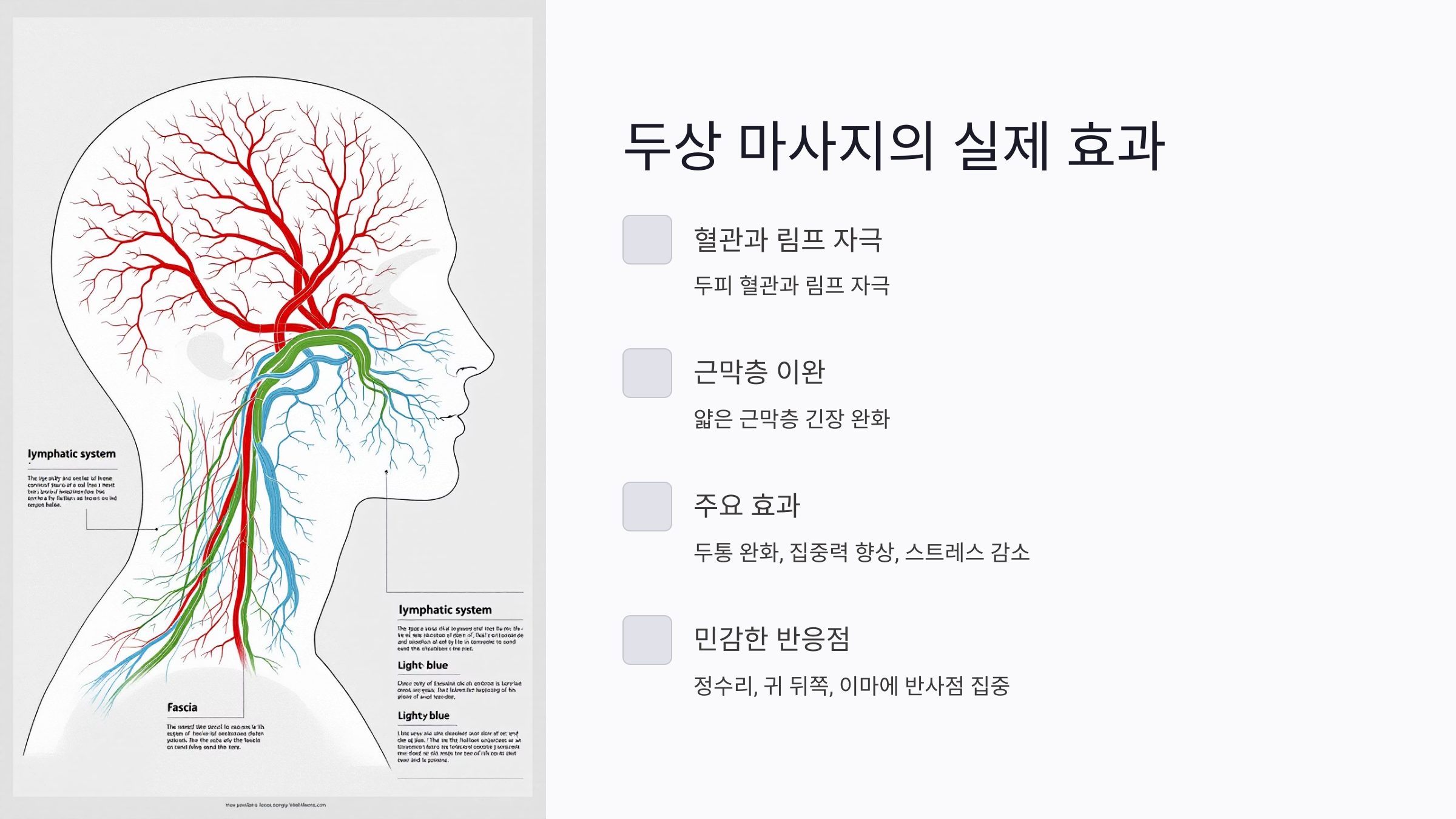 두상 마사지 진짜 효과 있을까? 셀프 요령부터 추천 기구까지